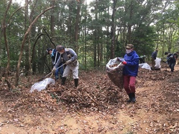 湿原の環境保全活動
