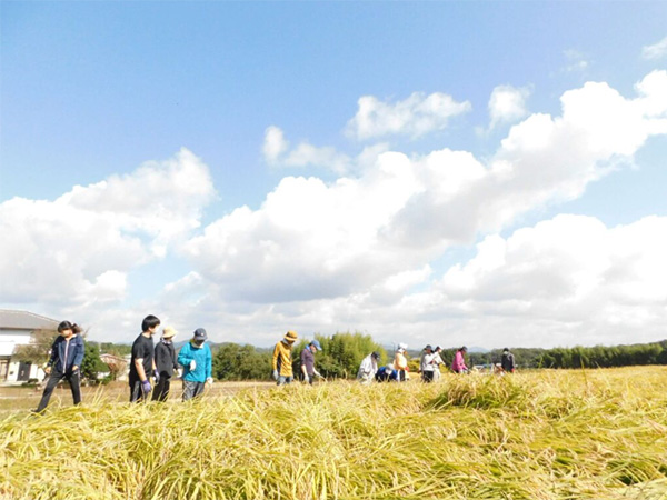 社会福祉法人：でんでん虫の会のみなさんと稲刈り