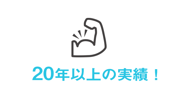 マルチ出力パワーマネジメントIC 長年の経験と実績