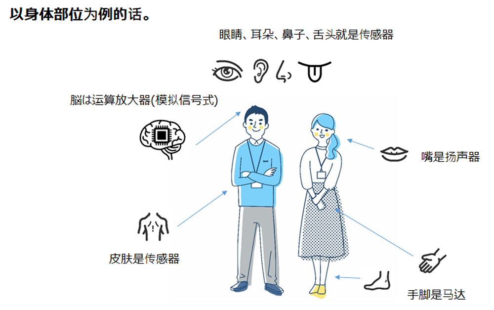 将运算放大器比作人体部件